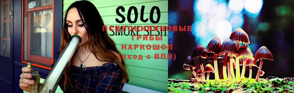 гашик Мегион