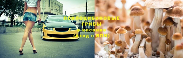 спайс Медногорск