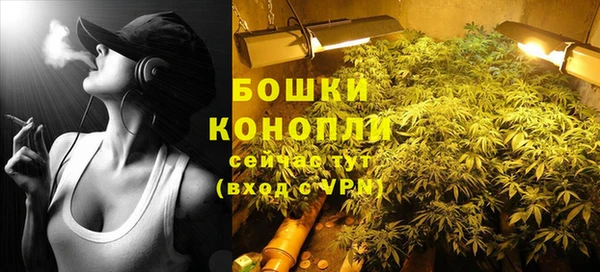стафф Михайлов
