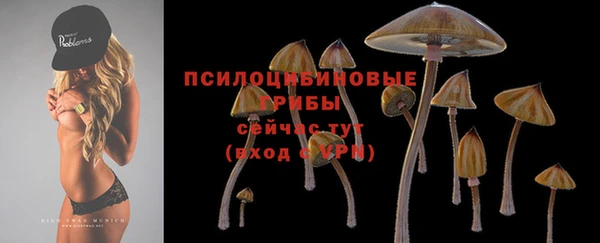 PSILOCYBIN Михайловск