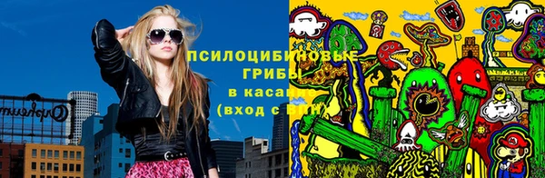 экстази Медвежьегорск