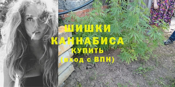 PSILOCYBIN Михайловск
