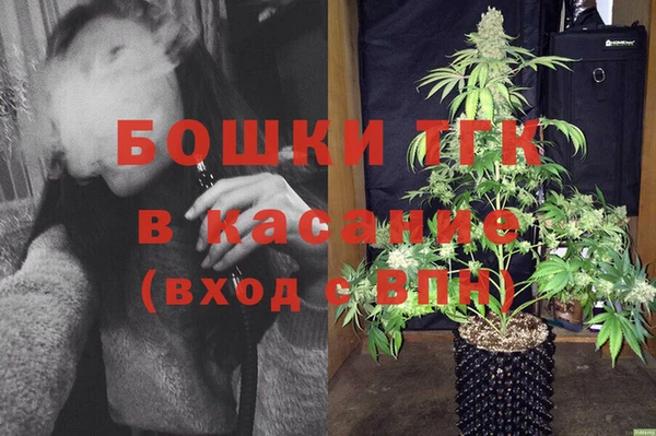 ГАЛЛЮЦИНОГЕННЫЕ ГРИБЫ Михайловка