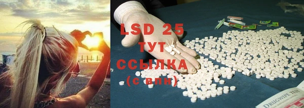 ГАЛЛЮЦИНОГЕННЫЕ ГРИБЫ Михайловка