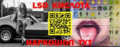 мяу мяу мука Ирбит