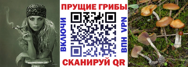 Галлюциногенные грибы GOLDEN TEACHER  где продают наркотики  Ханты-Мансийск 