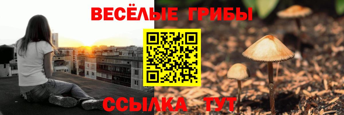 Псилоцибиновые грибы мухоморы  Ханты-Мансийск 